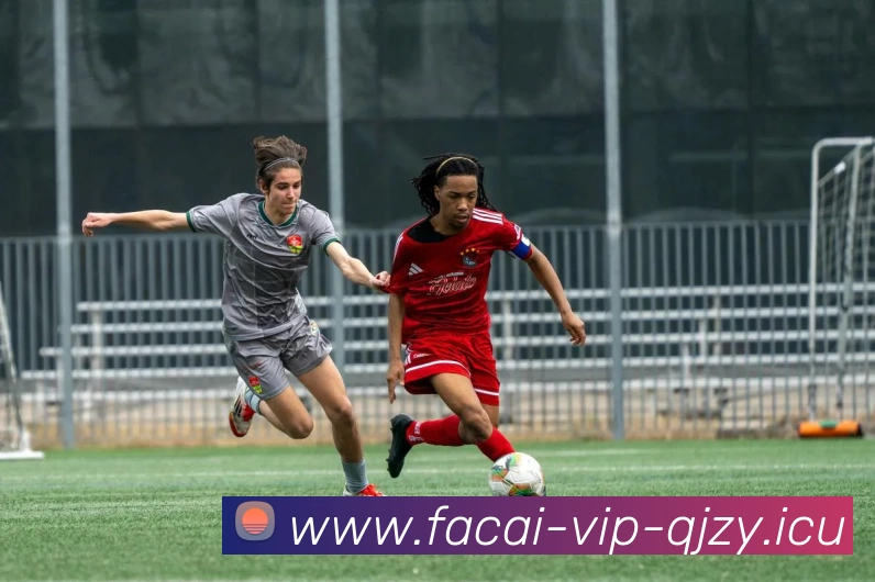 星空体育注册APP 封面图